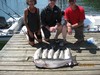 (07/23/2018) - Nice Striped Bass